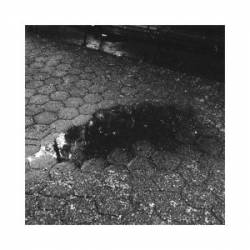 Dreams of Dissapoinments